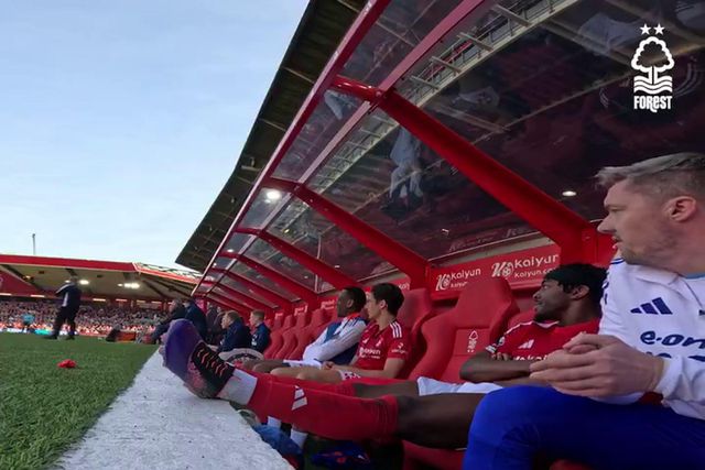 A festa do banco do Forest... vista do banco do Forest