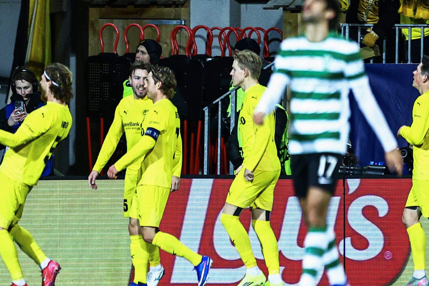 Tremenda desilusão leonina no Ártico. Foto IMAGO