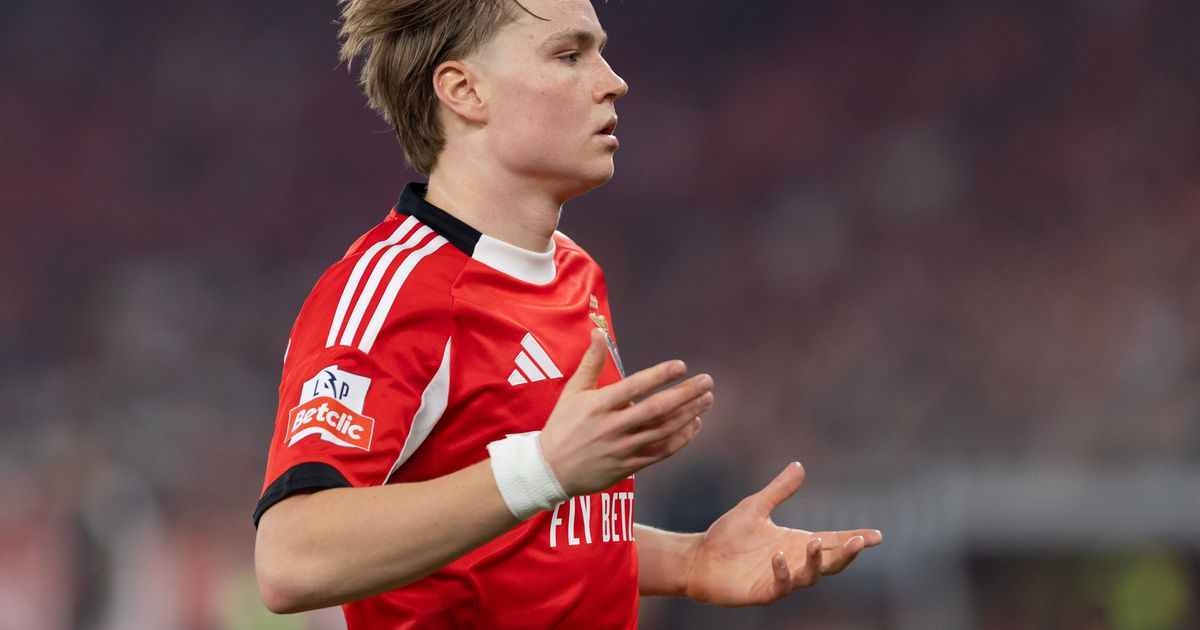 «A jogar 10 minutos, é difícil Schjelderup mostrar o que tem, eu passei por isso»