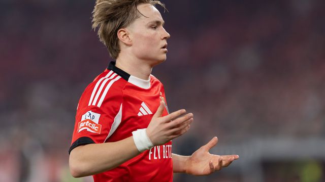 «Schjelderup de hoje não é o mesmo de há três meses»