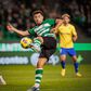 Estoril - Sporting: siga aqui em direto