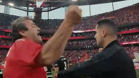 Árbitros do Benfica-Sporting apresentaram queixa do invasor junto da PSP