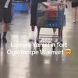 Lamine às compras num supermercado? Sim, nos EUA é possível!