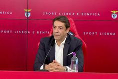 «Podendo chegar a Marco Silva, eliminei todos os outros nomes»