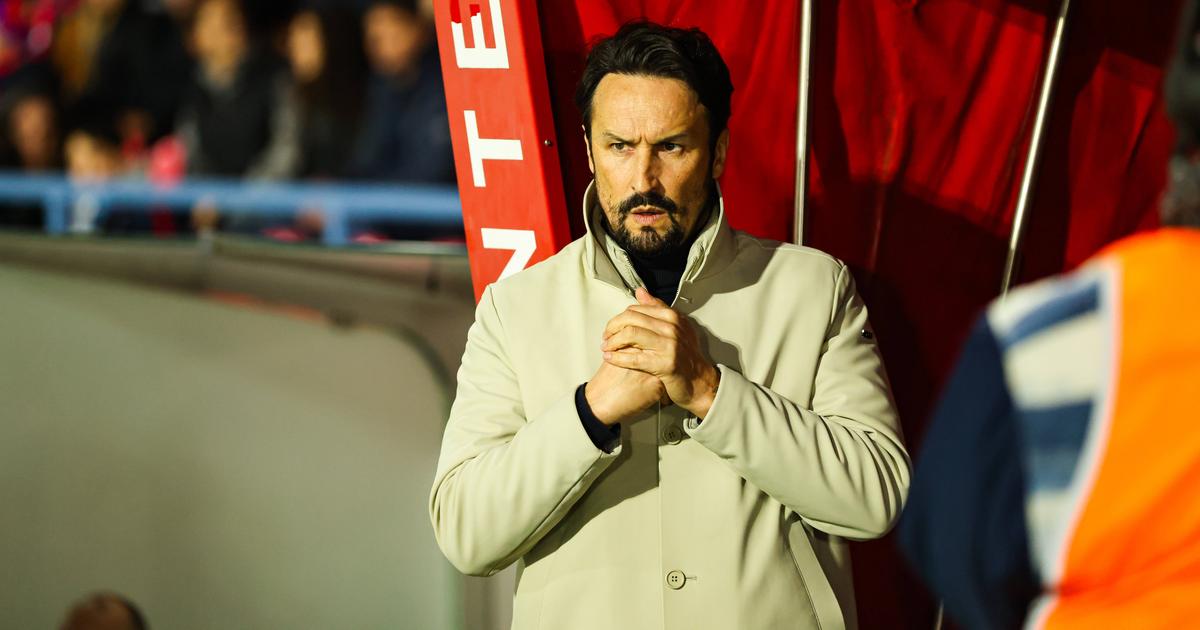Entrada de César Peixoto provoca enorme reboliço no Wolverha