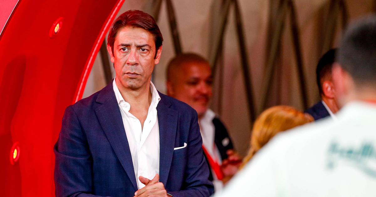 Rui Costa revela cláusula de rescisão e pormenor no contrato