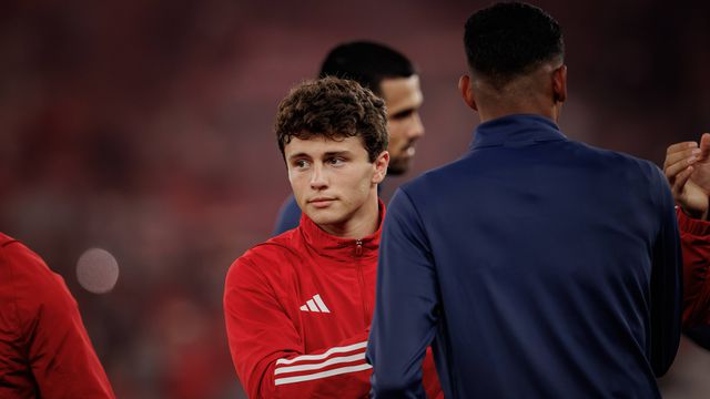 «João Neves é a coqueluche dos adeptos do Benfica»