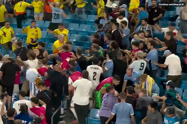 Vídeo: Darwin Núñez na bancada, à pancada com adeptos colombianos