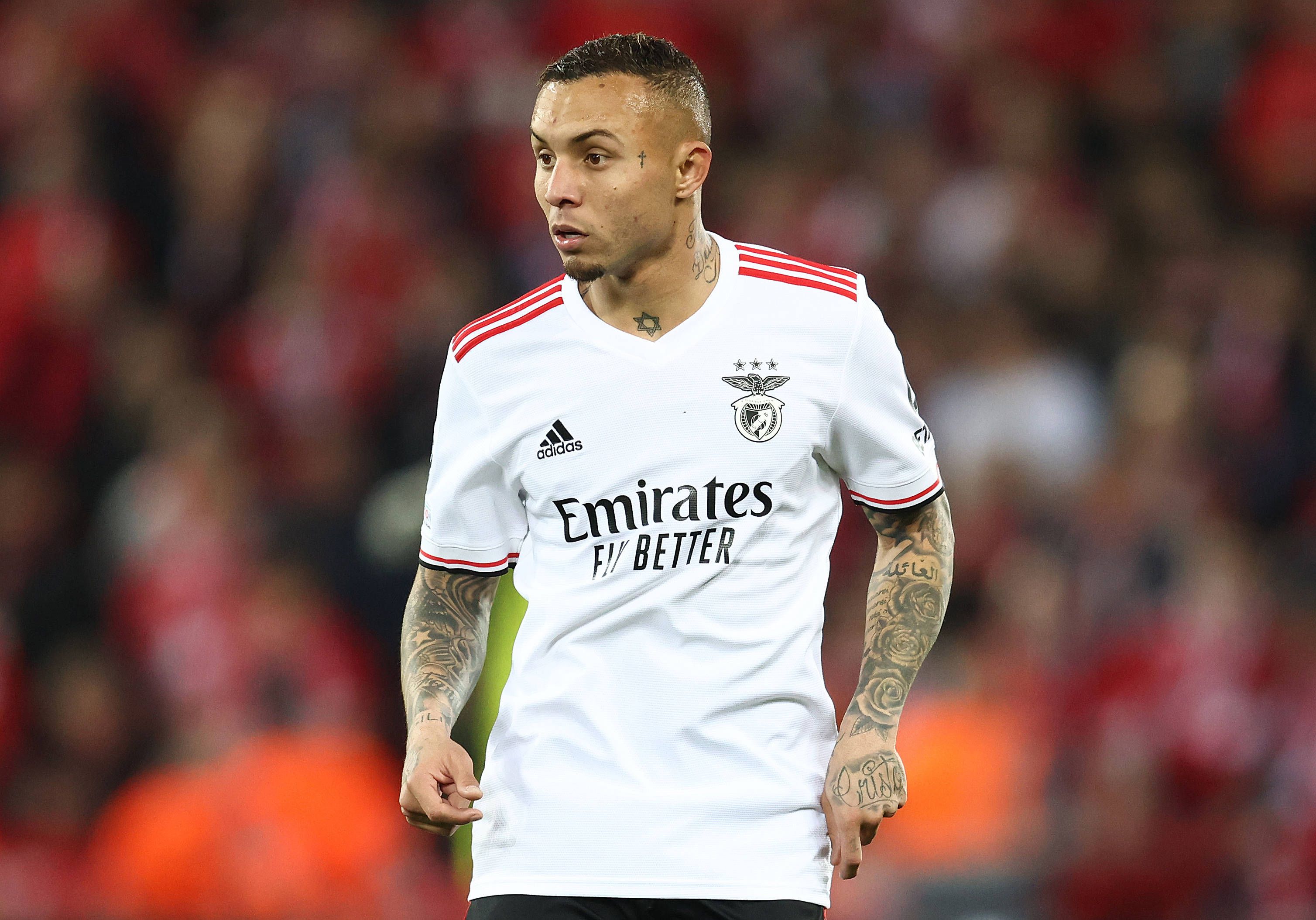 Everton com a camisola do Benfica