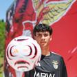 Afonso Roxo - Foto: Benfica