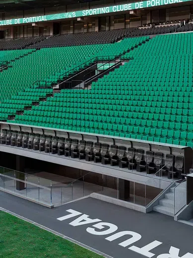 Alvalade ruge! Leões mostram nova fortaleza