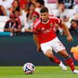 Dahl: «Quero deixar a minha marca no Benfica como Carreras»