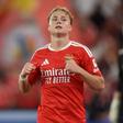 Andreas Schjelderup, extremo do Benfica (foto: Miguel Nunes)