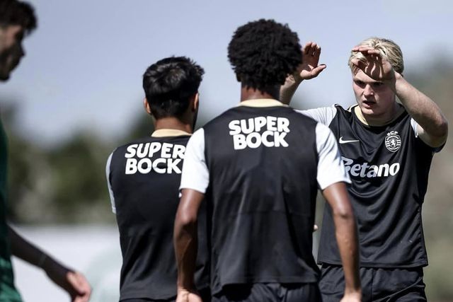 «Harder tem muitas semelhanças com Gyokeres»