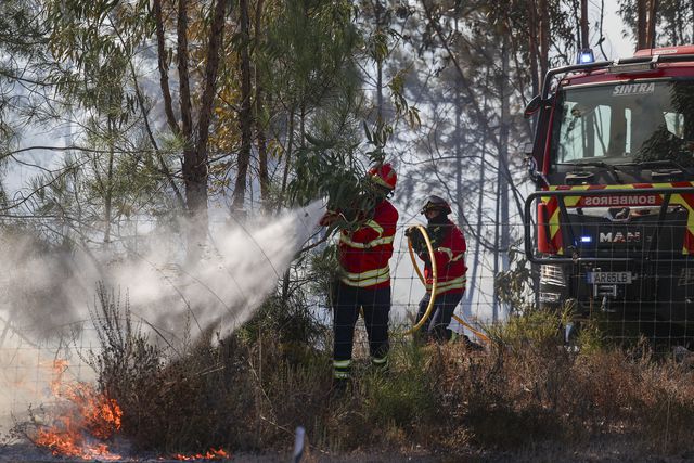 Bombeiros combatem incêndio - Foto: Filipe Amorim/LUSA