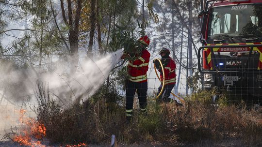 Incêndio no distrito de Aveiro atinge casas e obriga ao corte de autoestradas