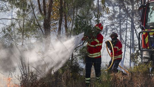 AF Viseu também adia jogos devido aos incêndios