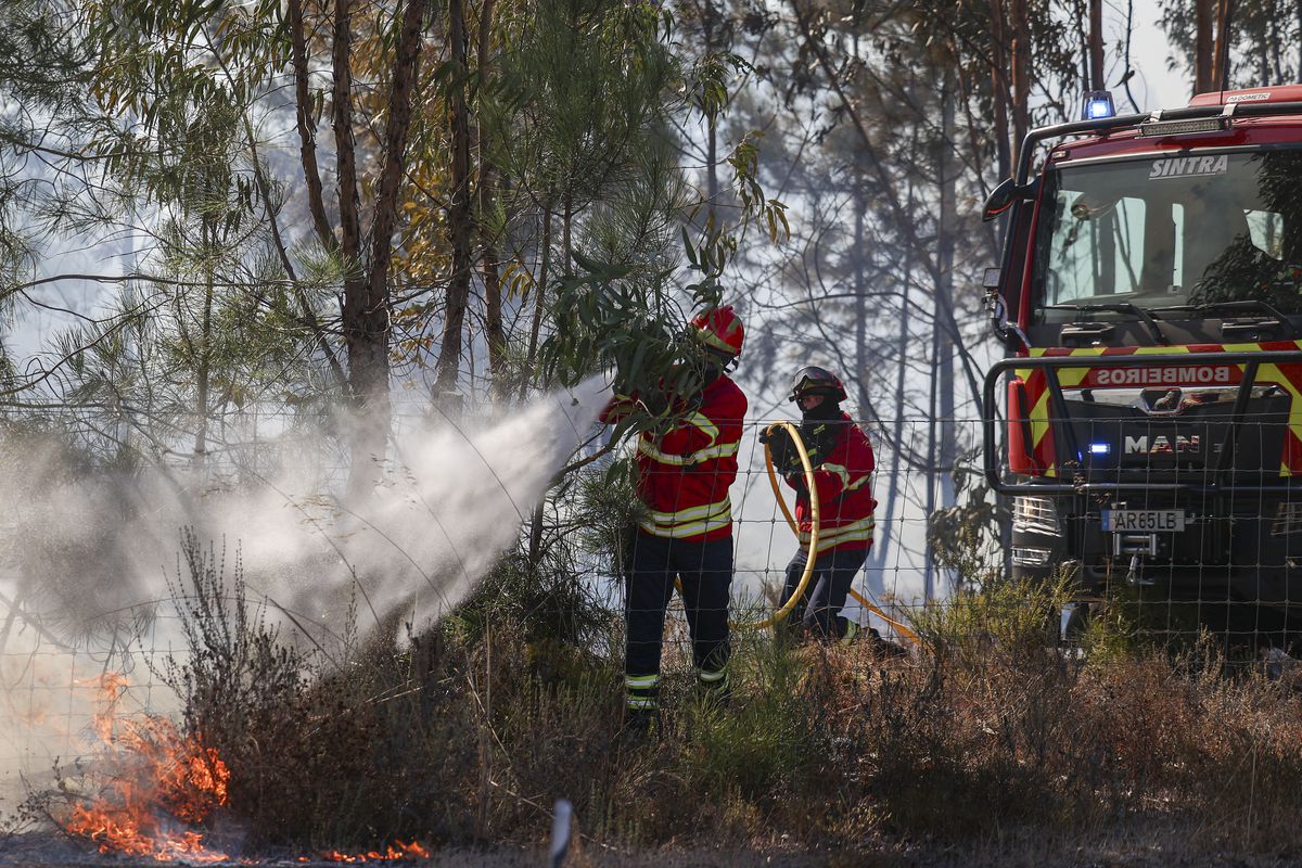Fogo em Aljustrel obriga a corte de troço da EN2