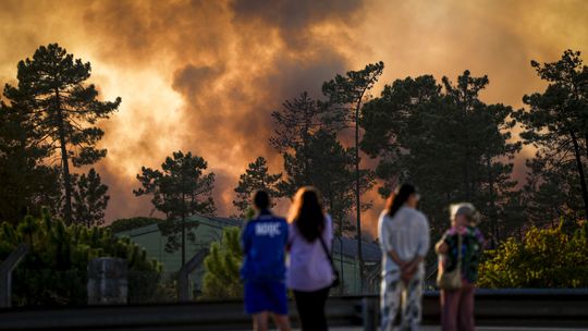 Incêndio lavra a 10 km do Benfica Campus