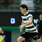 Leões entraram com o pé direito na Liga Placard