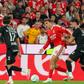 Jakupovic pressiona Palhinha na Luz - Foto: Manuel de Almeida/LUSA