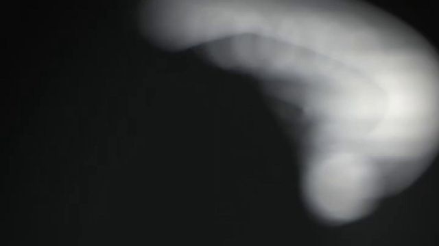 Sporting apresenta assim o novo treinador