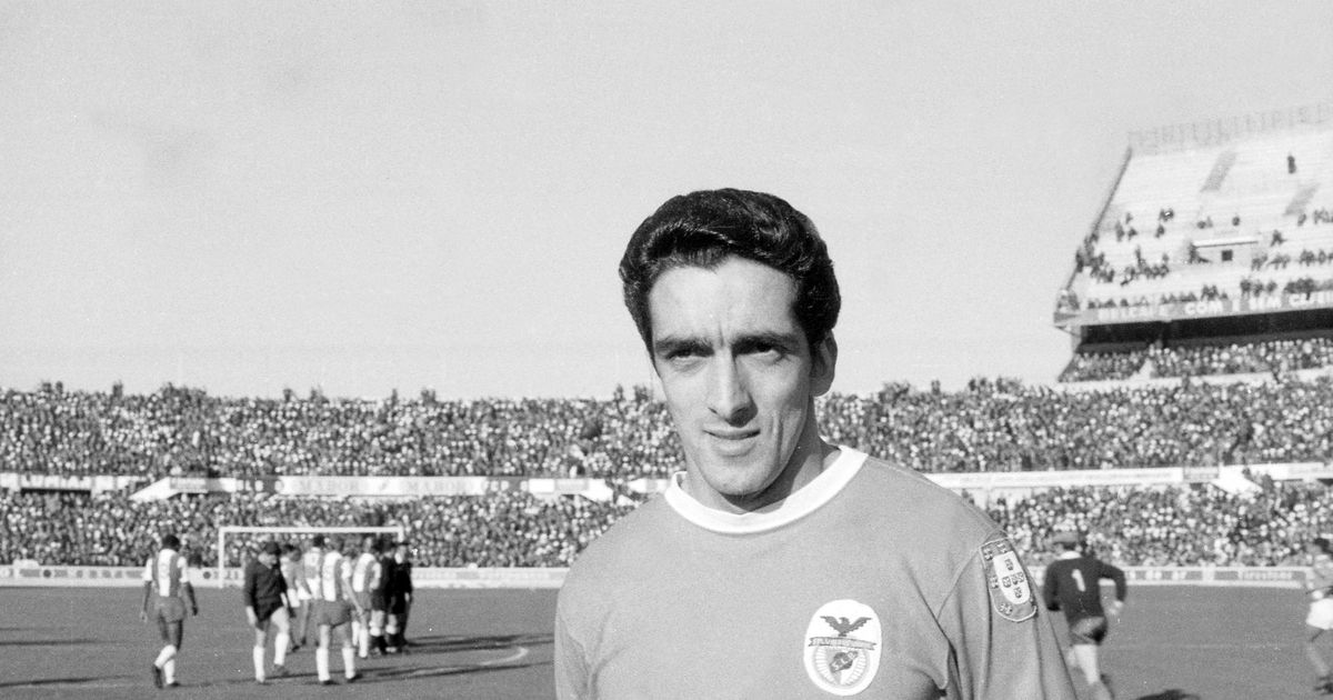 Benfica: memórias de José Torres preservadas no Museu Cosme Damião