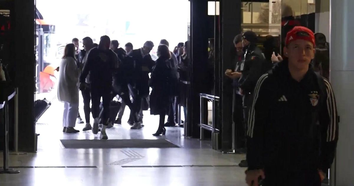 Benfica viaja para os Açores com novidade e baixas