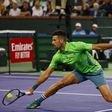 Djokovic após eliminação surpreendente em Indian Wells: «Joguei muito, muito mal»