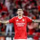 Di María a festejar mais um golo pelo Benfica no Estádio da Luz