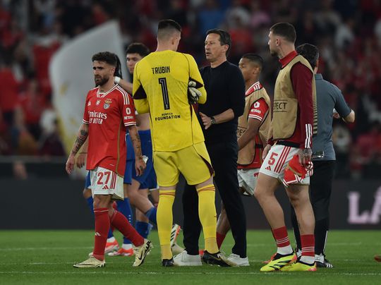 «Há divórcio entre adeptos, equipa e treinador do Benfica»