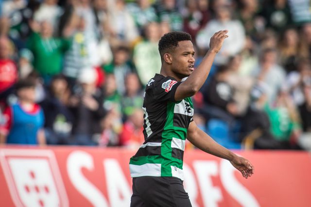 Contra a ventania açoriana houve uma rajada de leão (crónica)