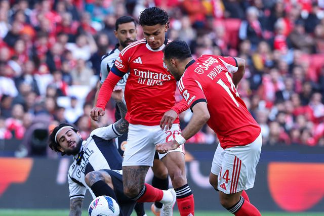 Pavlidis, avançado do Benfica - Foto: ANTÓNIO COTRIM/LUSA