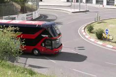 Adeptos do Benfica recebem equipa com tímidos aplausos