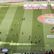 Benfica e Nacional aquecem no Estádio da Luz