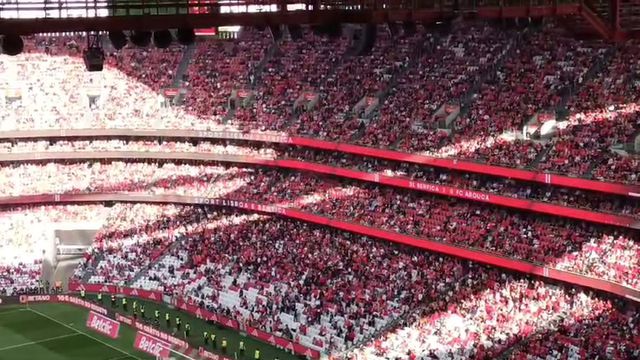 Bancadas da Luz 'abafam' insultos da claque a Schmidt