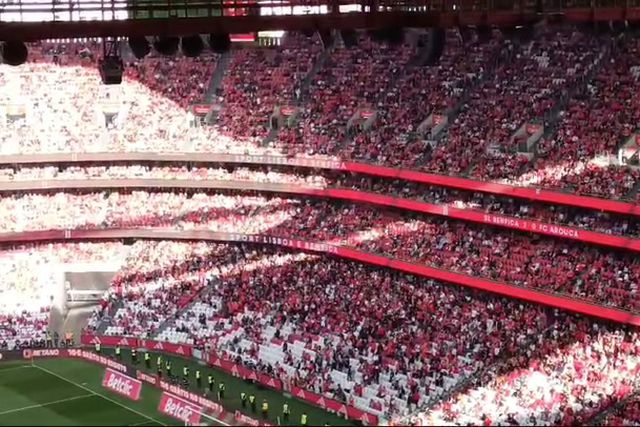 Bancadas da Luz 'abafam' insultos da claque a Schmidt