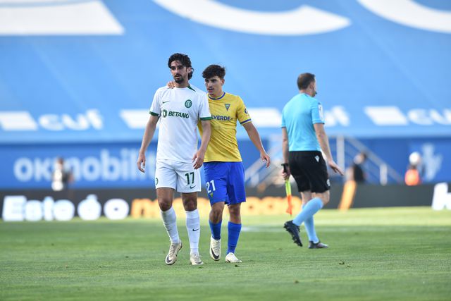 É mesmo a época do leão