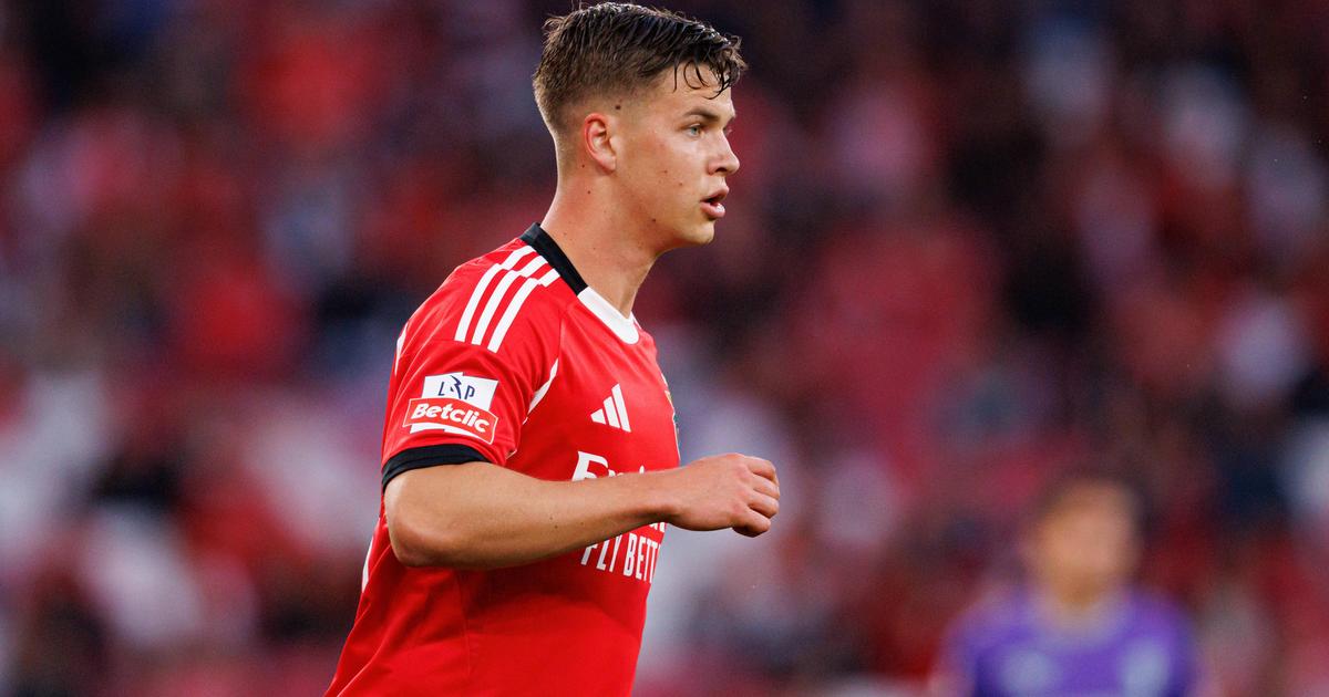 Oficial: Dahl falha o Mundial, Gyokeres e jogador do SC Braga convocados