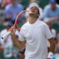 Nuno Borges caiu frente a Cilic nos Países Baixos. Foto FPT/:AELTC/Joel Marklund