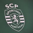 Eis o atual emblema leonino