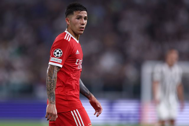 «Enzo, devias ter ficado no Benfica!»