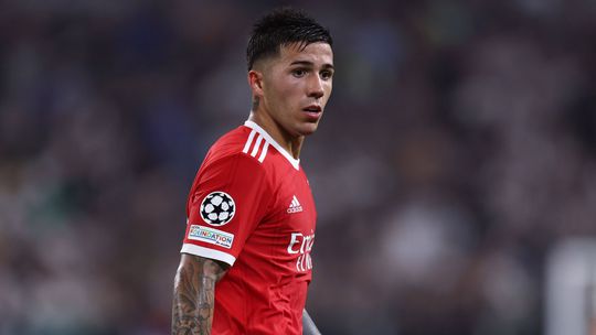 «Enzo, devias ter ficado no Benfica!»