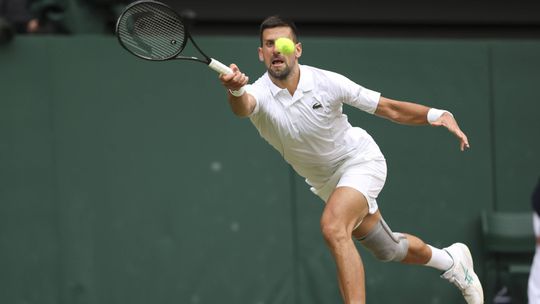 Ténis: Djokovic é o segundo finalista de Wimbledon