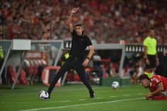 Benfica: «Bruno Lage sabe que ainda há muita margem de crescimento»