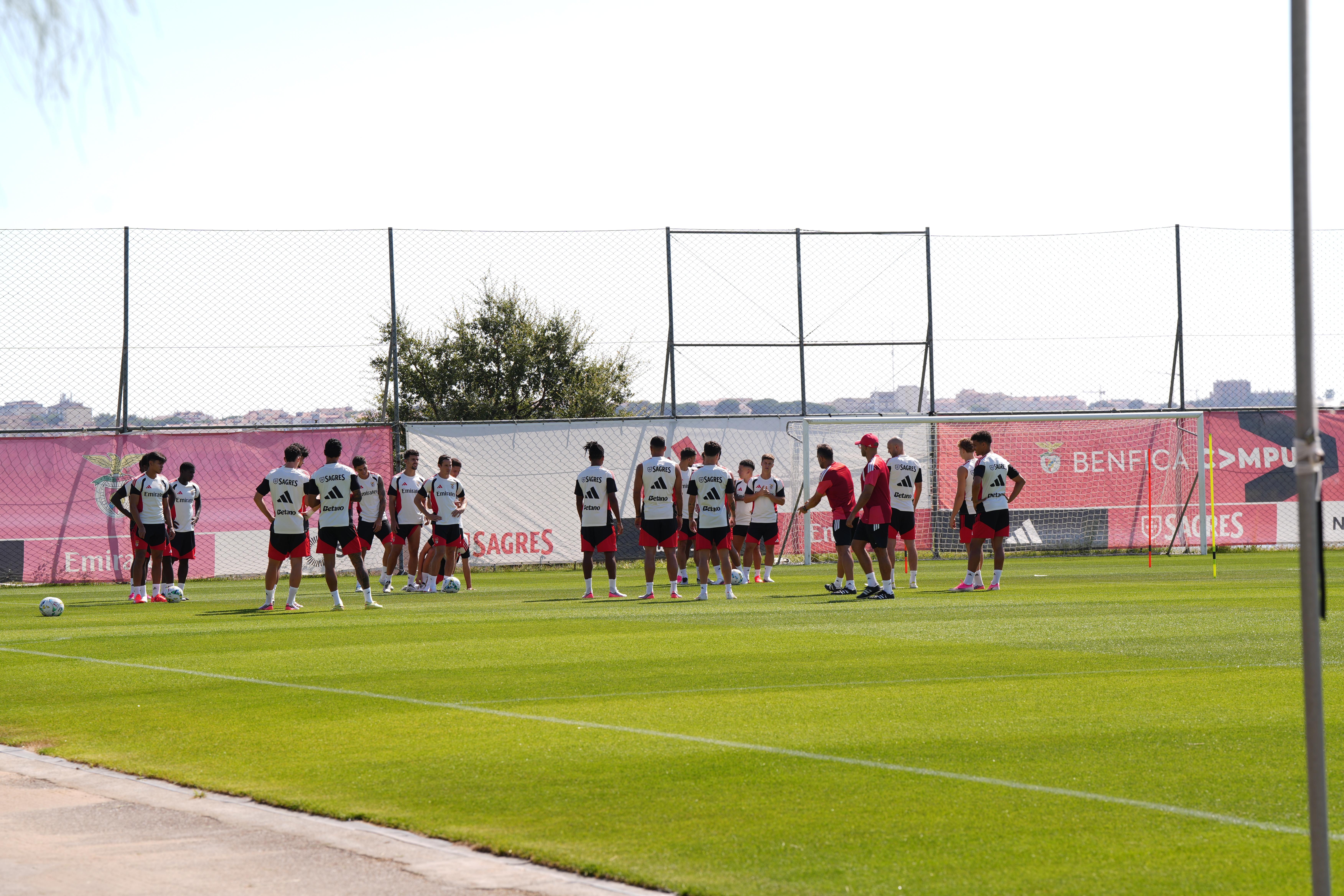 Treino do Benfica. Foto: Mariana Tenório/A BOLA