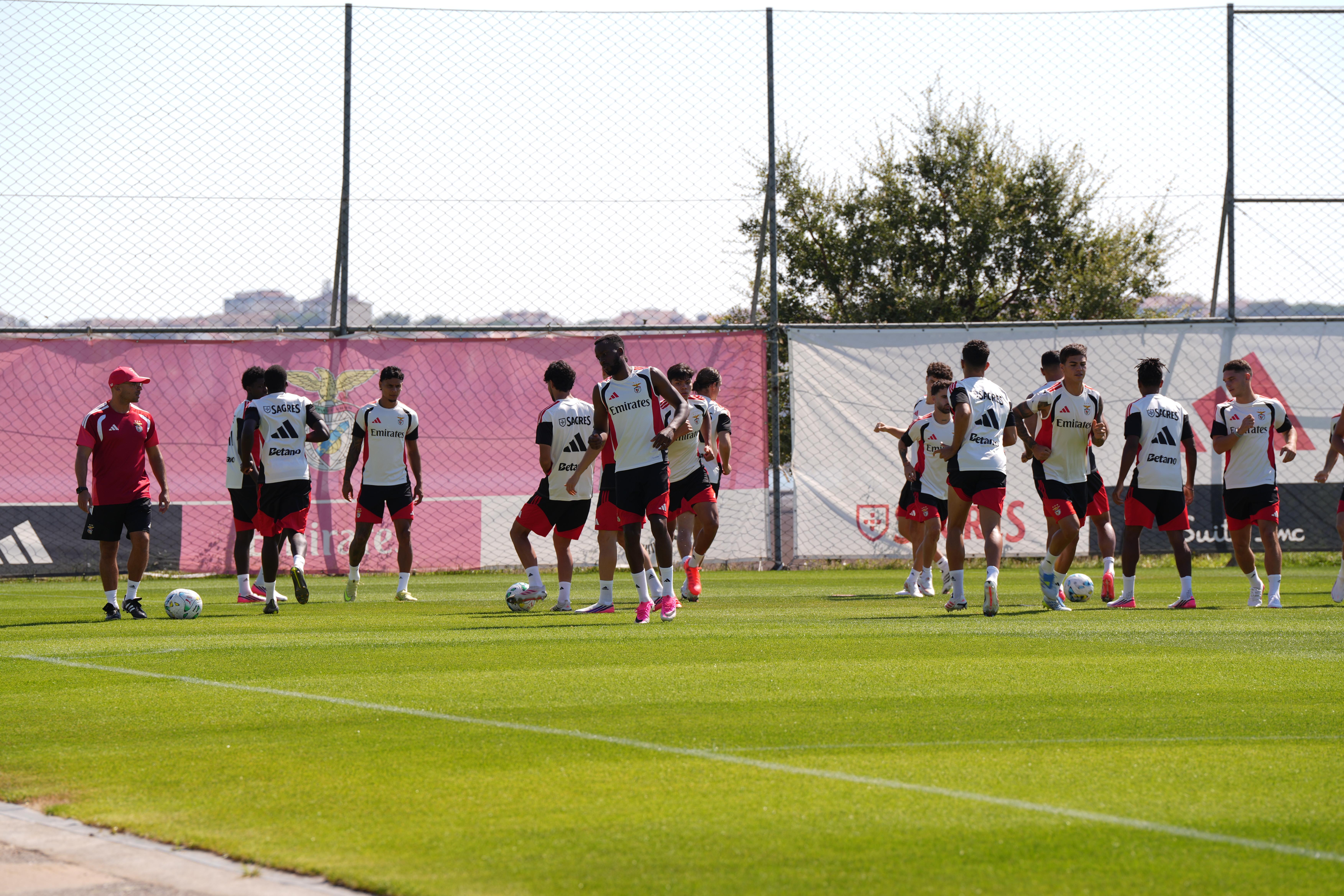 Treino do Benfica. Foto: Mariana Tenório/A BOLA