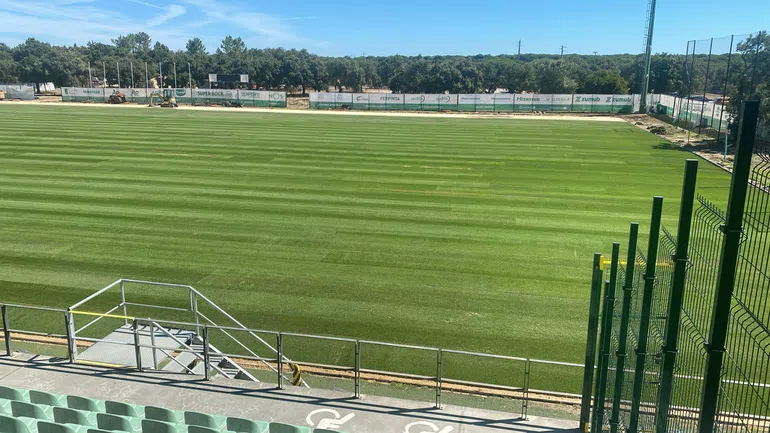 Novo relvado! Leões afinam as garras
