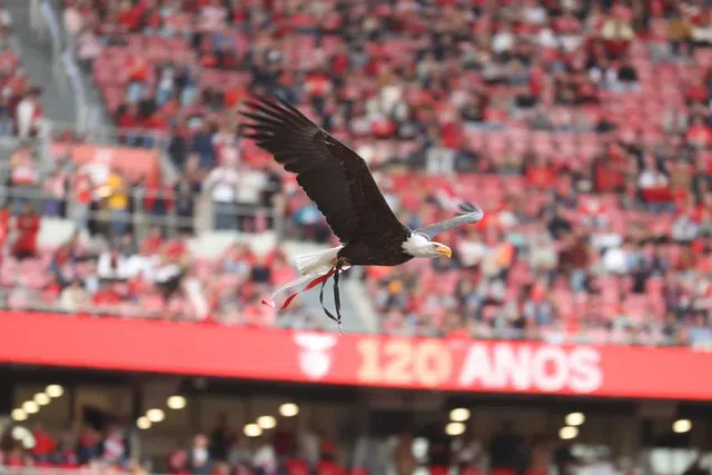 Voo da águia no Estádio da Luz - Foto SL Benfica