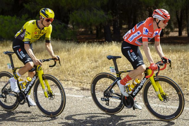Vingegaard: «João Almeida é muito forte, espero ter pernas»